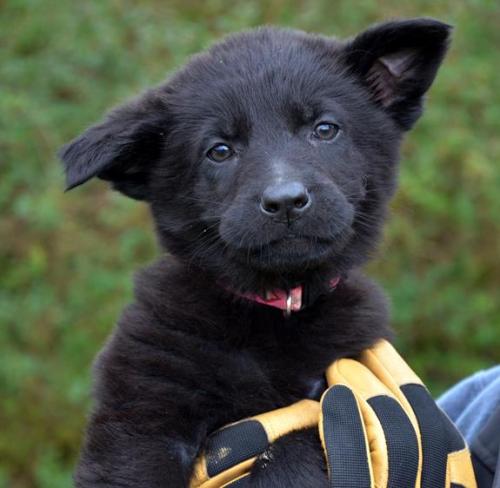 Rayan-PinkGirl2-28-12-046 1