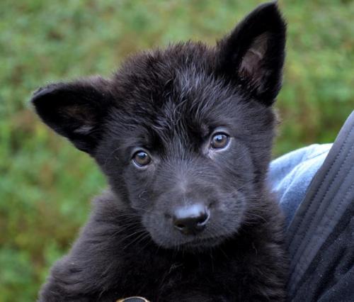 Rayan-Purpleboy2-28-12-029 1