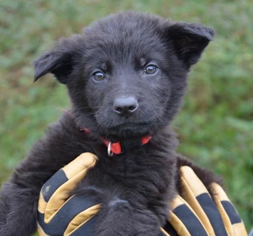 Rayan-Redboy2-28-12-017 1