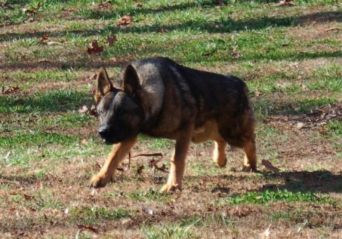 2009FamilyChristmas026